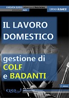 IL LAVORO DOMESTICO