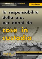 LA RESPONSABILITA' DELLA P.A. PER DANNI DA COSE IN CUSTODIA
