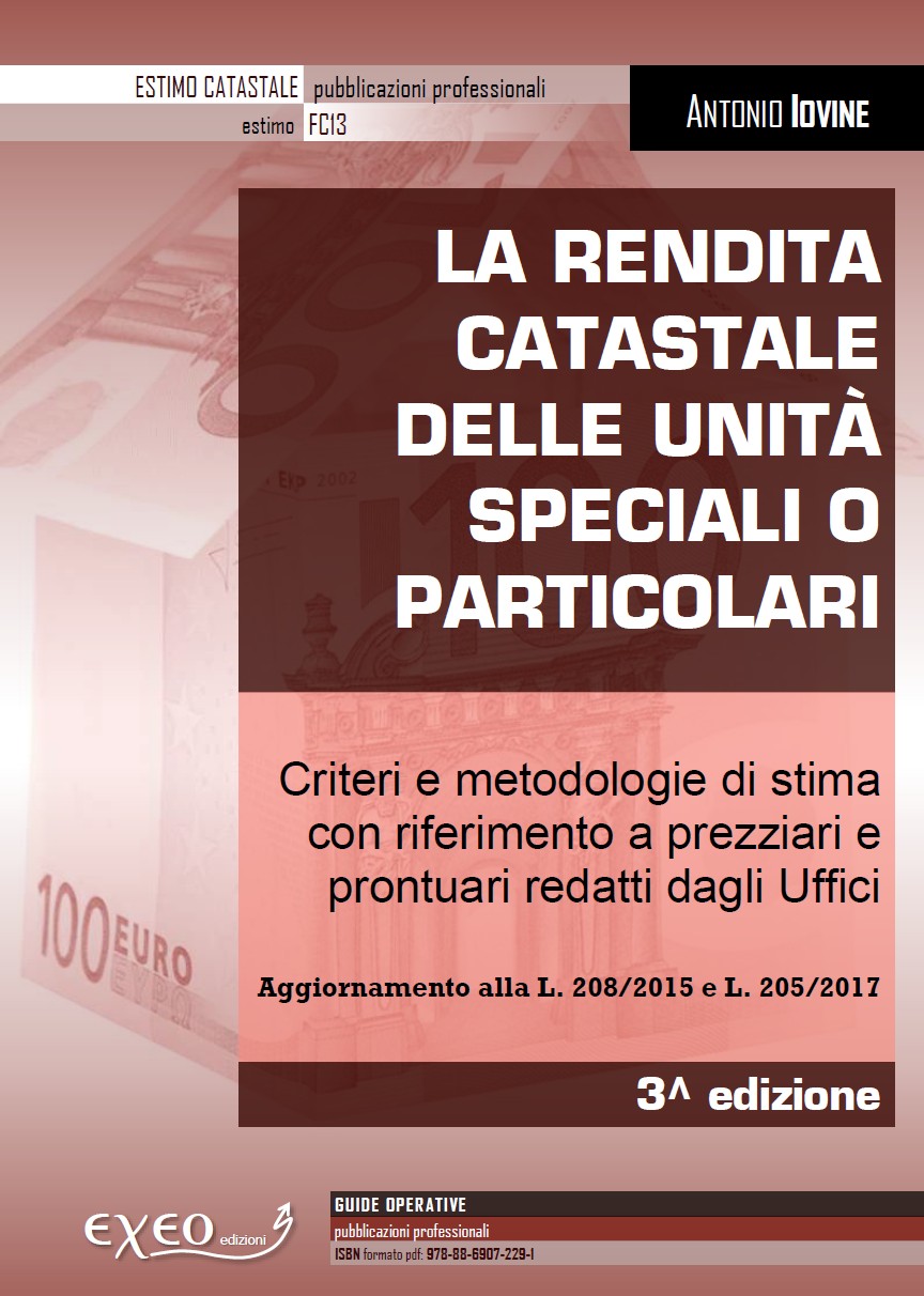La rendita catastale delle unità speciali o particolari